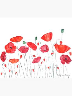 watercolor painting of red poppies on white paper