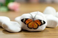 Main colour(s): orange Size (butterfly): 6 cm x 2.5 cm Made from: Resin; Steel chain Packaging: Acdria jewellery box. See details about packaging and the free gift message service further in the listing. The jewellery we create is inspired by nature in all its beauty. We've started in 2012 by designing the Tiger butterfly. That first design was an instant success. When we saw how loved our jewellery is and the amazing feedback we've received, we've continued to develop new designs, using new tec White Butterfly Necklace For Gift, White Butterfly Necklace As A Gift, Yellow Jewelry With Butterfly Charm For Gift, Yellow Butterfly Jewelry Gift, Handmade Butterfly Jewelry For Gifts, Handmade Butterfly Jewelry Gift, Handmade Butterfly Jewelry For Gift, Unique Orange Necklace For Gift, Unique Orange Jewelry For Gifts