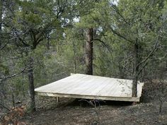 a wooden platform in the woods surrounded by trees