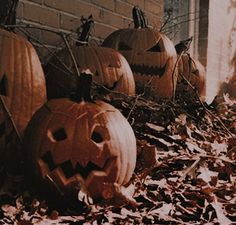 several carved pumpkins sitting on the ground in front of a brick building with ivy growing around them