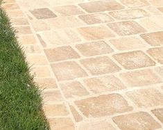 a cat sitting on the ground next to a brick walkway with grass growing along it