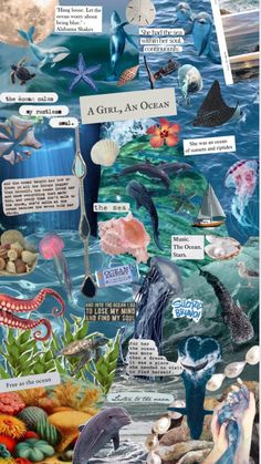 the ocean is full of different types of animals and marine creatures, including sharks, dolphins, seaweed, corals, fish, starfish