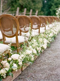 rows of chairs lined up with flowers and greenery