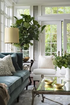 a living room filled with furniture and lots of green plants in the window sill