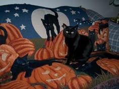 Halloween Is Cool, I Love Halloween, Halloween 3, Season Of The Witch, A Black Cat