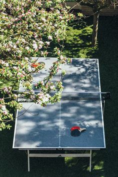 an overhead view of a ping pong table in the middle of a tree lined yard