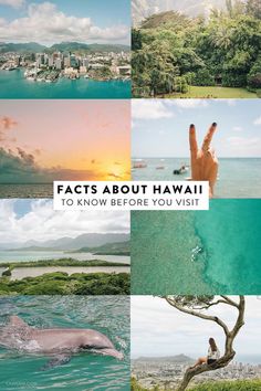 four different pictures with the words, fact about hawaii to know before you visit them