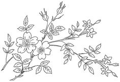 the flowers are drawn in black and white, with one flower on each side of the branch