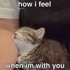 a cat sleeping on top of someone's stomach with the caption, how i feel when im with you