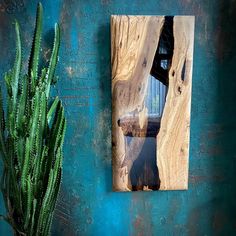 a green cactus is next to a blue wall and a wooden plaque with a reflection of a building in it