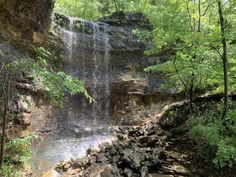 a large waterfall in the middle of a forest