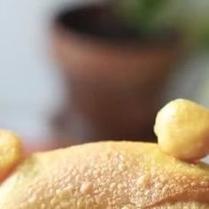 a close up view of some food on a plate with a potted plant in the background