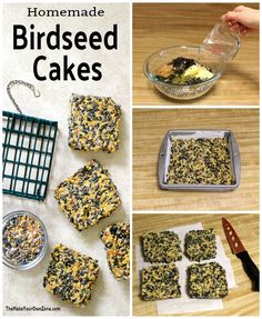 homemade birdseed cakes are ready to be baked in the oven and put into baking pans