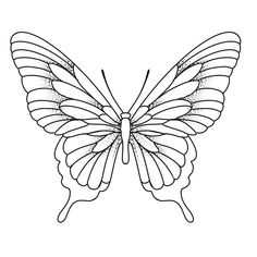 a black and white drawing of a butterfly