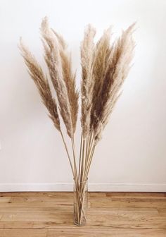 some dry grass in a glass vase on a wooden floor with a white wall behind it