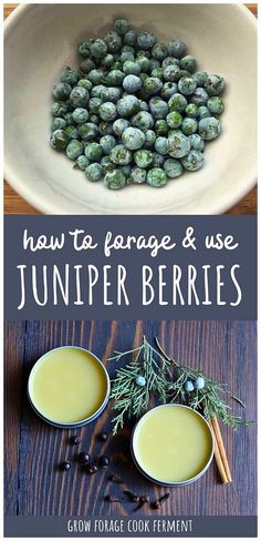 how to arrange and use juniper berries in your food preparation process for the winter season