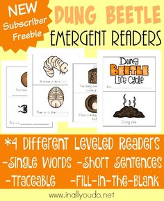 an orange and white poster with text that reads,'4 different leveled readers single words - short sentences freebie