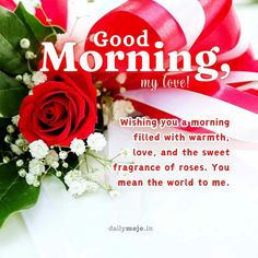 Beautiful Romantic Good Morning Rose Images: Express Love