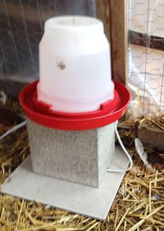 a red and white bird feeder sitting on top of hay