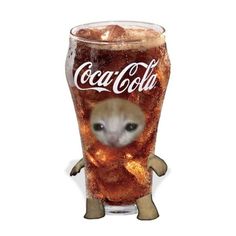 an image of a hamster in a glass with coca cola on it's side