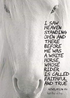 a white horse with words written on it