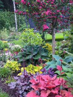 a garden with flowers and trees in the background