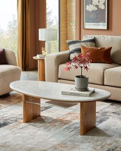 a living room with two couches and a coffee table in front of a window