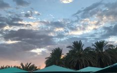 several umbrellas are set up in front of palm trees and clouds as the sun sets