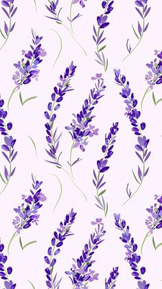 purple flowers and leaves on a white background