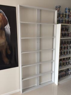 a dog is sitting in the middle of a bookcase with pictures on each shelf