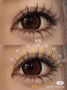 False Lashes Tutorial, Eyelashes For Beginners, Apply Eyelashes, Apply False Eyelashes, Eyelashes Tutorial, Seni Resin