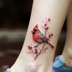 a small red bird sitting on top of a branch with berries around it's ankles