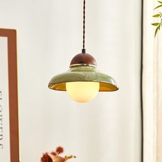 a green light hanging from a ceiling in a room with a plant on the table