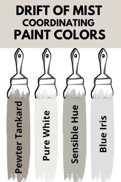 three paint colors that go with sherylin williams sea salt and one is gray