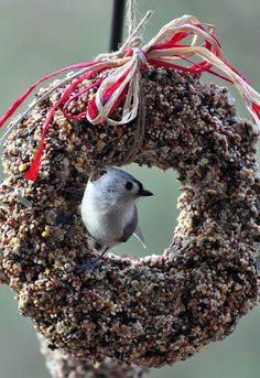 a bird sitting on top of a bird feeder filled with birdseed and other things