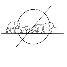 an image of elephants in the same line as they walk through a circle with one another