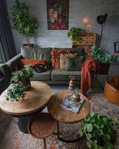 a living room filled with lots of furniture and plants on top of it's tables