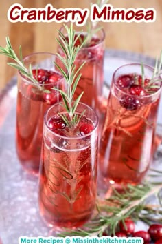 cranberry mimosa recipe in glasses with rosemary garnish on top