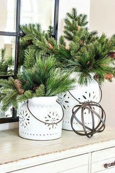 two potted pine trees sitting on top of a white dresser next to a mirror