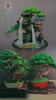 two bonsai trees with water falling from them