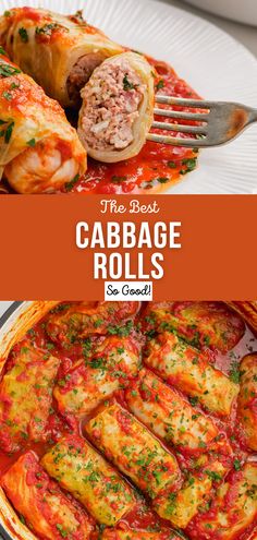 the best cabbage rolls served in a casserole dish with tomato sauce and parmesan cheese