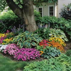 colorful flowers and trees in front of a house