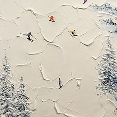 several skiers are skiing down a snowy mountain side with pine trees in the foreground