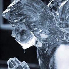 an ice sculpture is shown in black and white