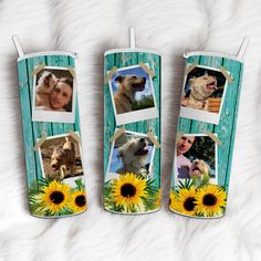 three personalized toothbrushes with pictures of dogs and sunflowers