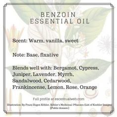 Essential Oil Combos, Nature Magic, Essential Oils 101, Essential Oil Carrier Oils, Essential Oils Health, Aromatherapy Blends, Living Essentials Oils