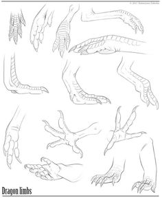 an image of dragon limbs drawn in the style of a cartoon character's hands