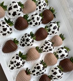 chocolate covered strawberries are arranged on a tray