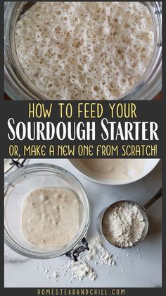 how to feed your sourdough starter or make a new one from scratch recipe