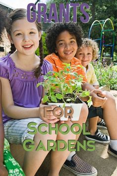 1st Grade Garden Activities, School Garden Club Lesson Plans, Middle School Garden, Community Garden Ideas Projects, Garden Club Program Ideas, School Garden Ideas, School Garden Design, School Courtyard